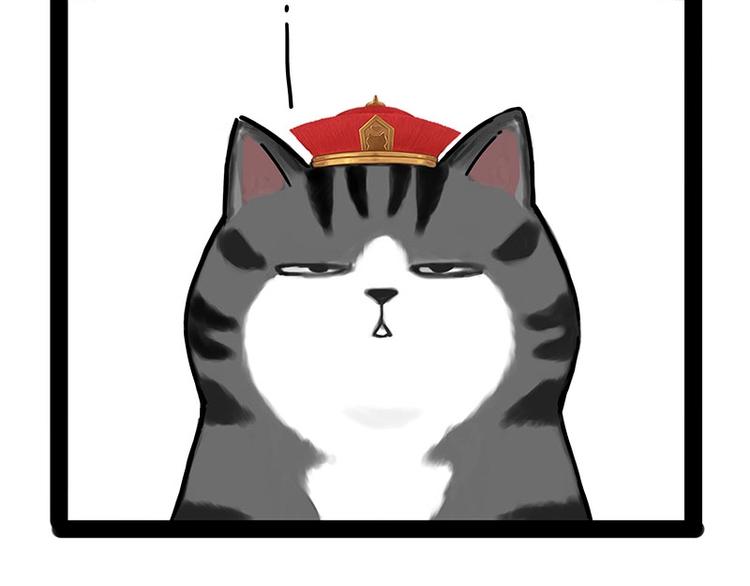 第167话 猫王争霸赛19