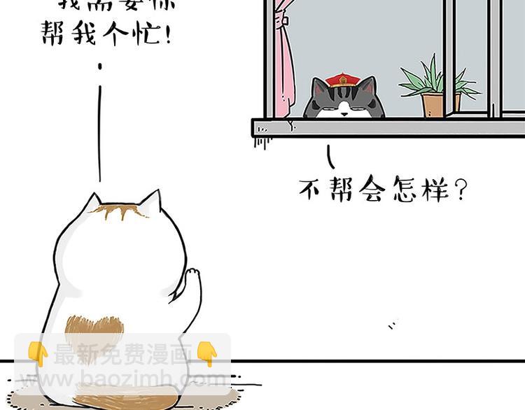 第167话 猫王争霸赛2