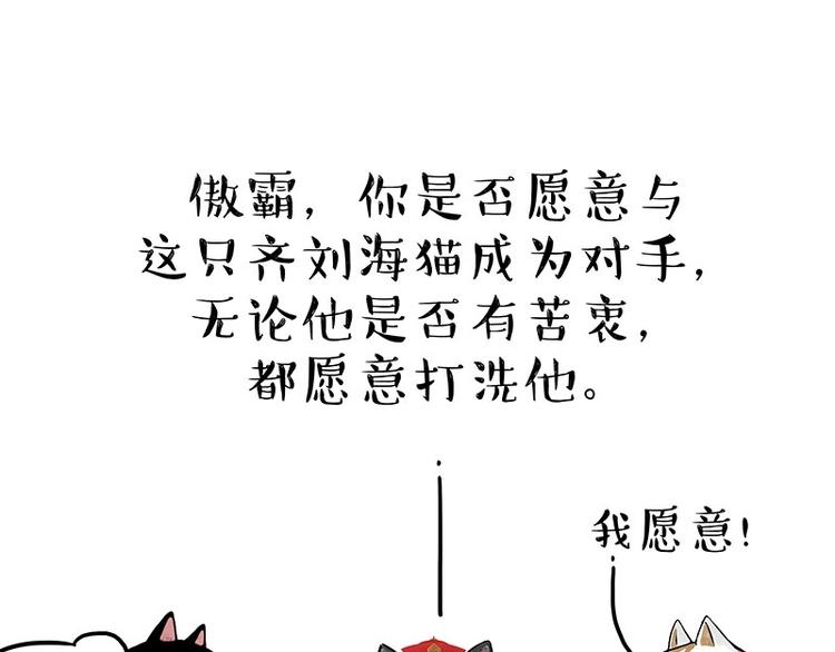 第167话 猫王争霸赛20