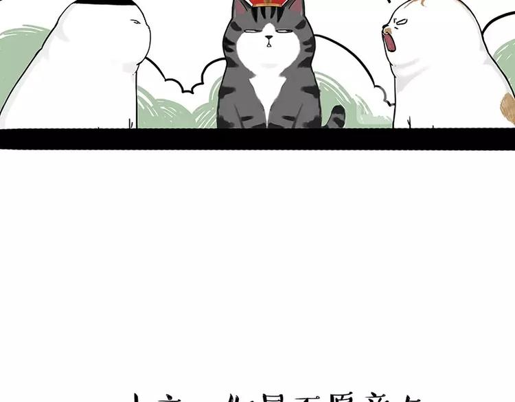 第167话 猫王争霸赛21