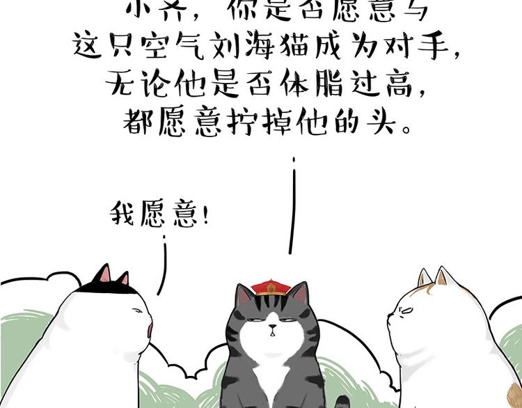 第167话 猫王争霸赛22