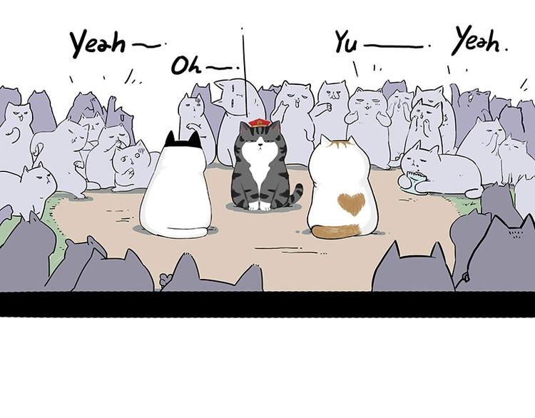 第167话 猫王争霸赛24