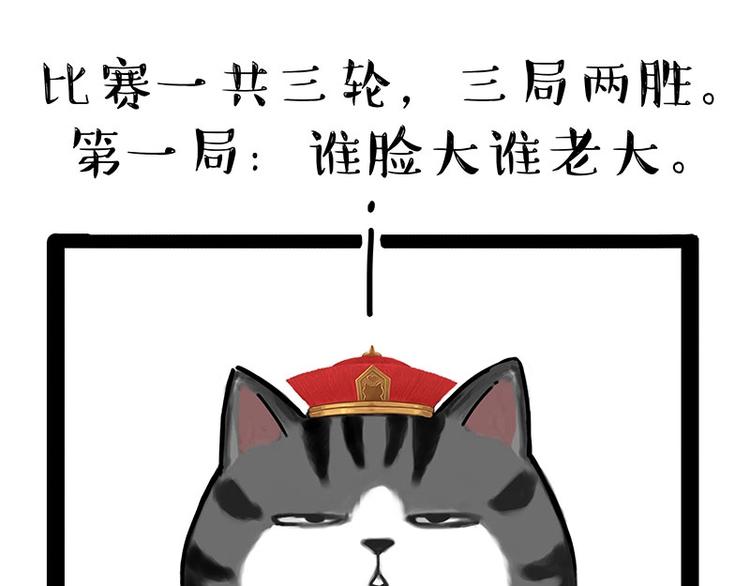 第167话 猫王争霸赛25