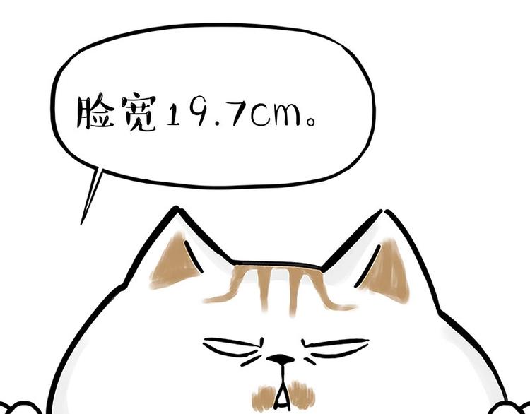 第167话 猫王争霸赛27