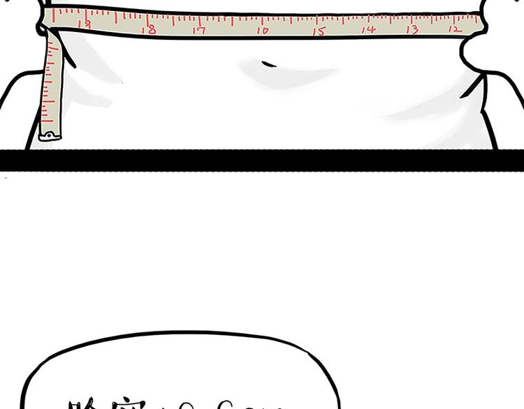 第167话 猫王争霸赛28