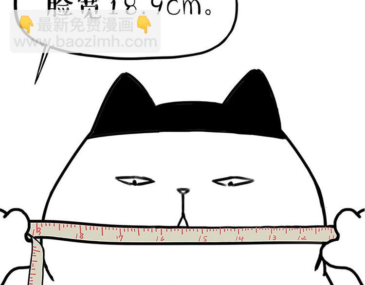 第167话 猫王争霸赛29