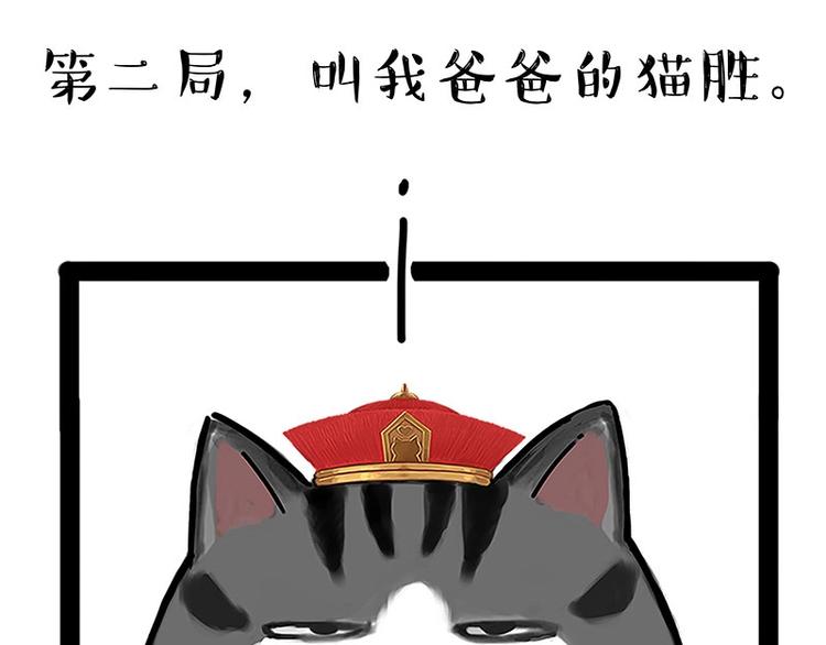 第167话 猫王争霸赛32