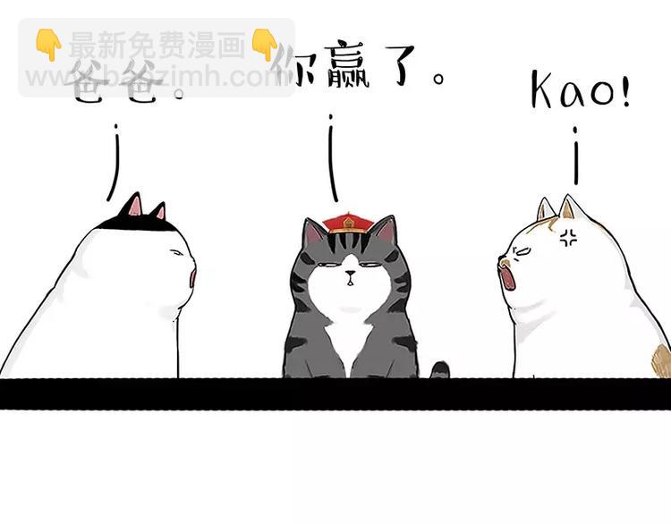 第167话 猫王争霸赛34