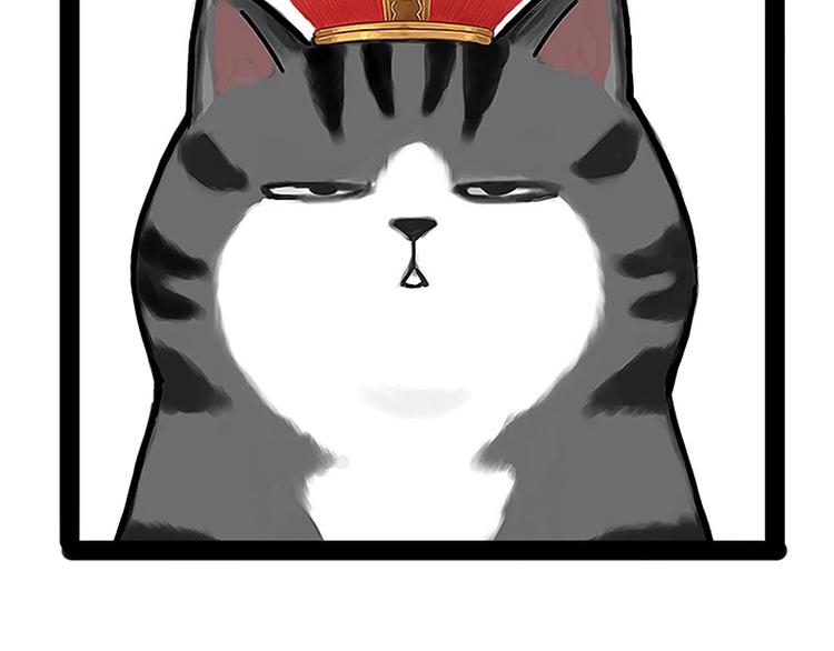 第167话 猫王争霸赛36