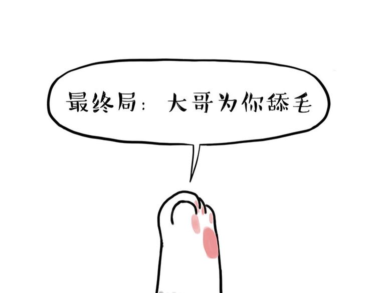 第167话 猫王争霸赛37