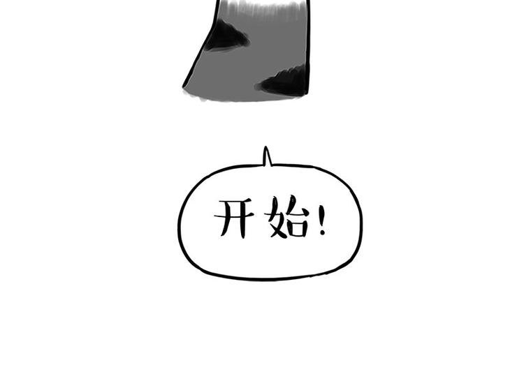第167话 猫王争霸赛38