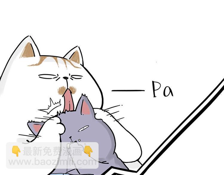 第167话 猫王争霸赛39