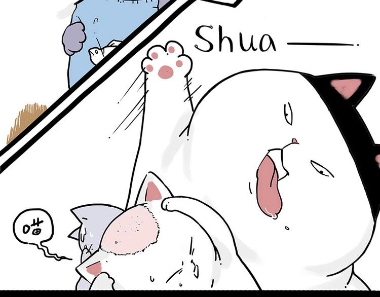 第167话 猫王争霸赛40