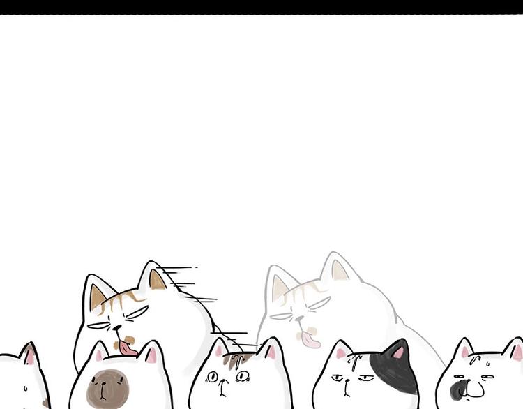 第167话 猫王争霸赛41