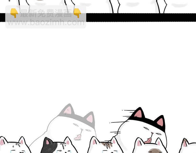 第167话 猫王争霸赛42