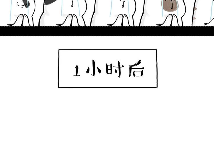 第167话 猫王争霸赛43