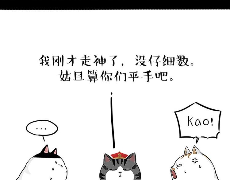 第167话 猫王争霸赛45