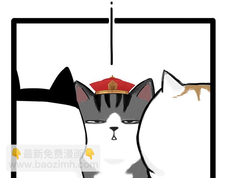 第167话 猫王争霸赛52