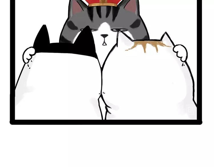 第167话 猫王争霸赛54