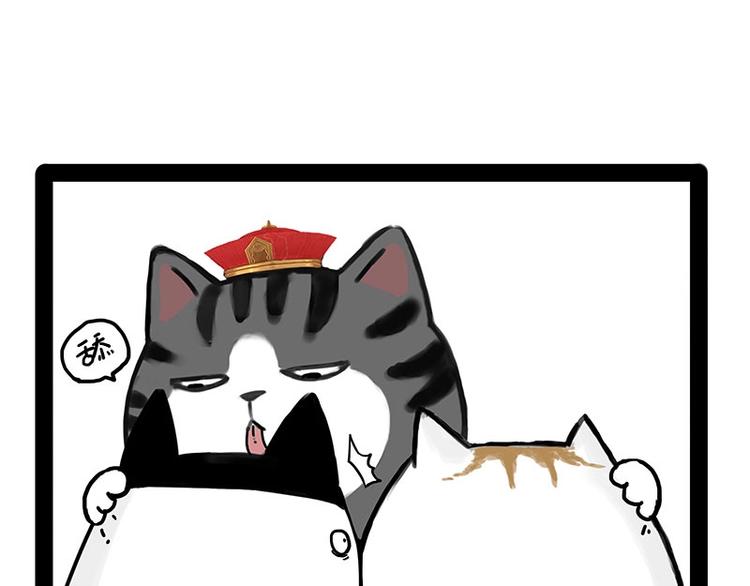 第167话 猫王争霸赛55