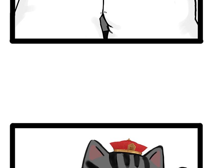 第167话 猫王争霸赛56