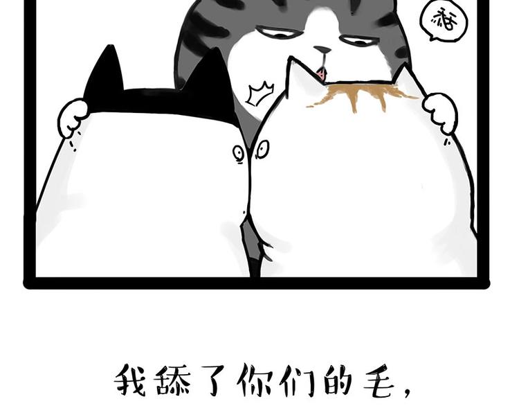 第167话 猫王争霸赛57