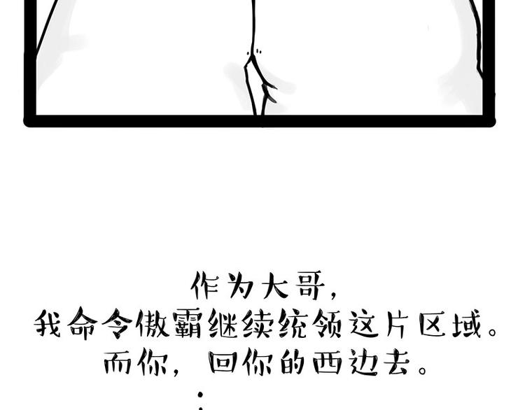 第167话 猫王争霸赛59