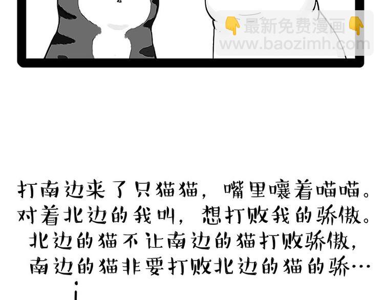 第167话 猫王争霸赛6