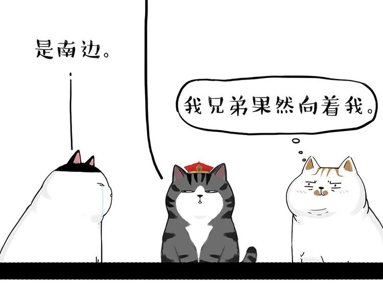 第167话 猫王争霸赛60