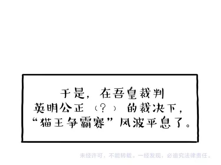第167话 猫王争霸赛61