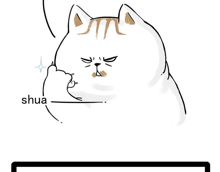 第167话 猫王争霸赛7