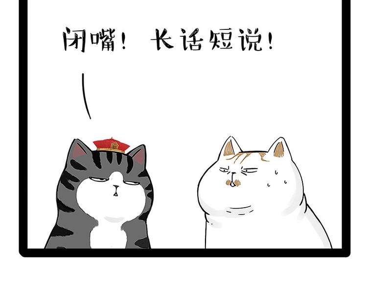 第167话 猫王争霸赛8