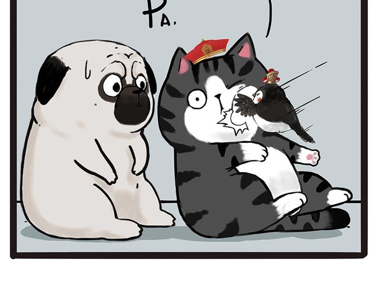 第168话  翅中历险记57