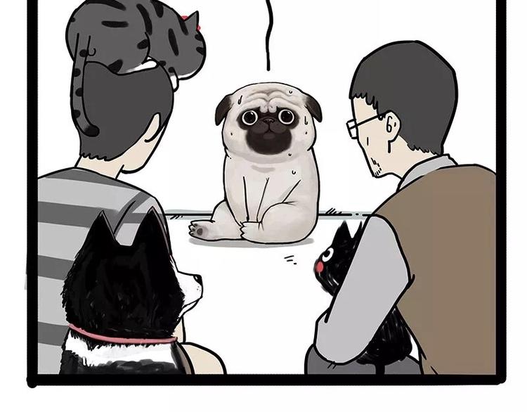 第169话 巴扎黑中毒了？！20