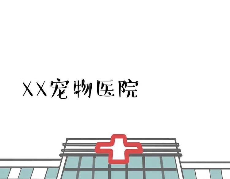 第169话 巴扎黑中毒了？！26