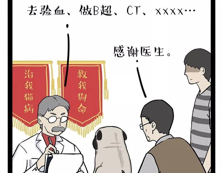 第169话 巴扎黑中毒了？！30