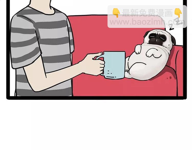 第169话 巴扎黑中毒了？！4
