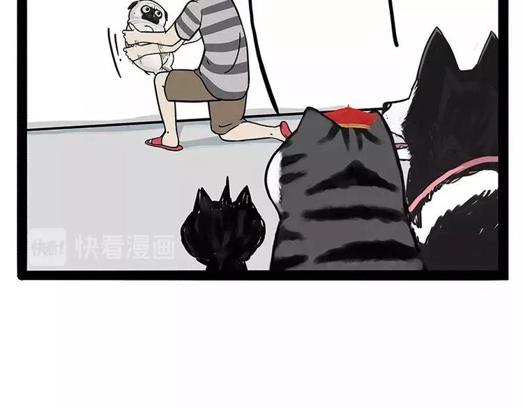 第169话 巴扎黑中毒了？！8