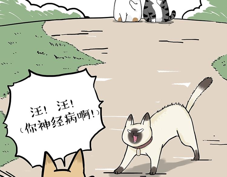 第171话 不许你走！27