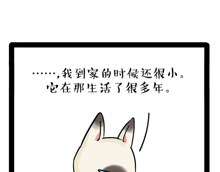 第171话 不许你走！42