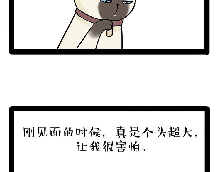 第171话 不许你走！43