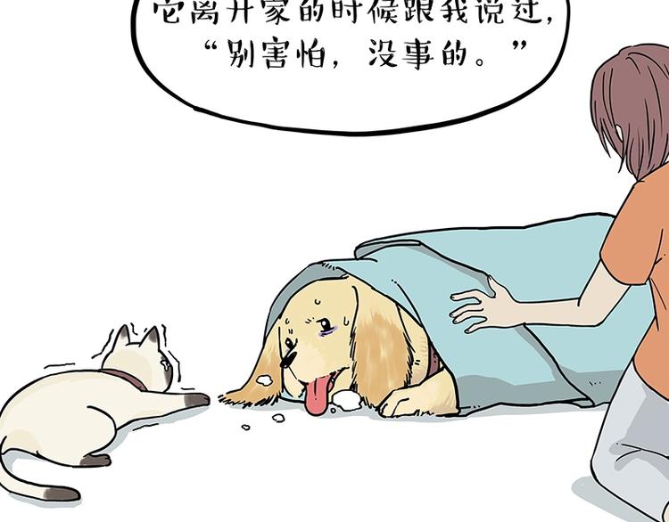 第171话 不许你走！81