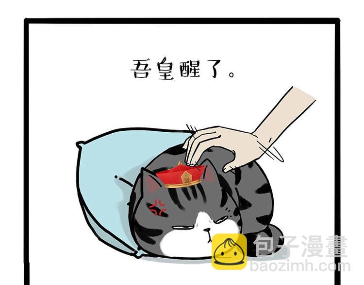 第172话  少年大改造？24