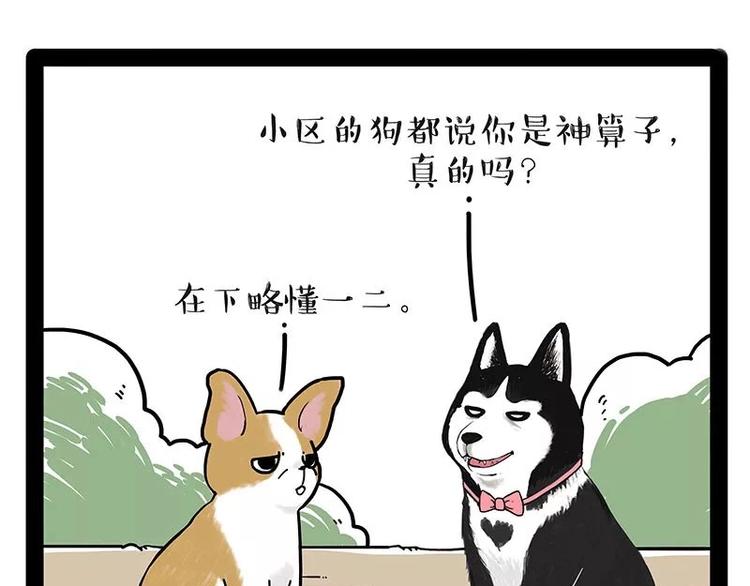 第174话 救救我！19