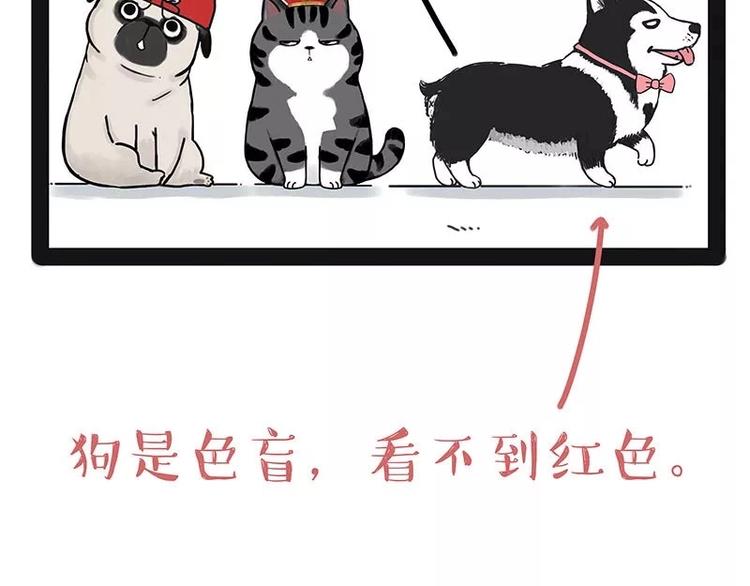 第174话 救救我！35