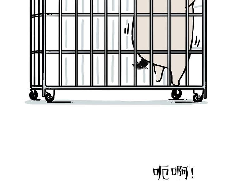 第176话 不要打扰我追求自由11