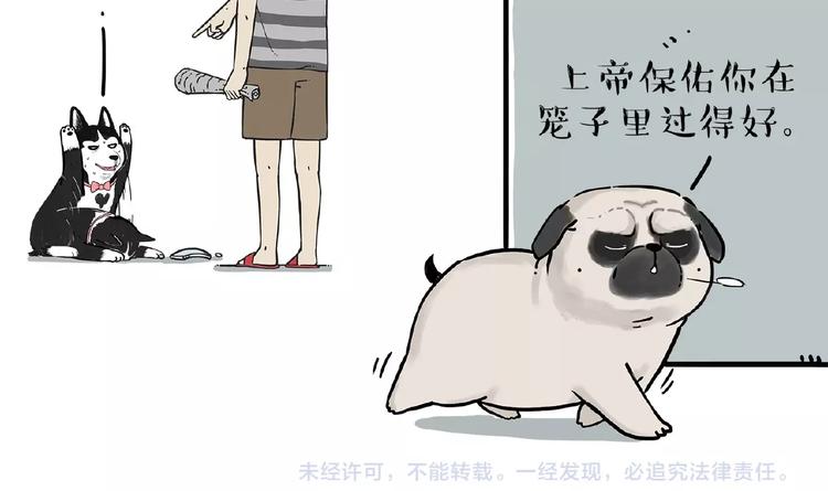 第176话 不要打扰我追求自由82