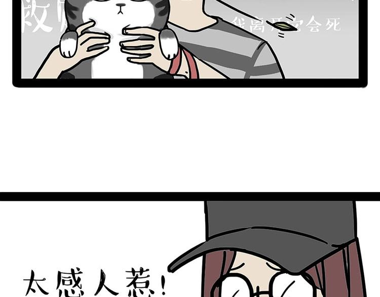 第178话 都给女装大佬让个座16