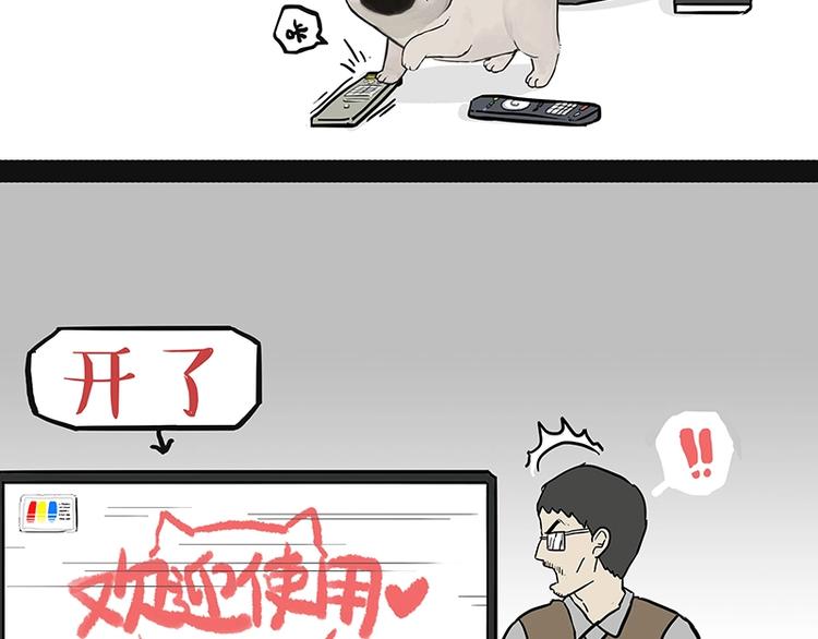 第180话 电视，别再提你智能24