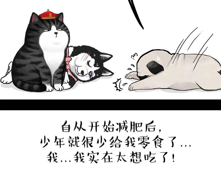 第181话 零食风波与蟑螂风波37
